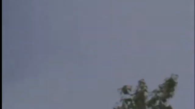 Кузнечики и Сокол в небе. смотреть онлайн