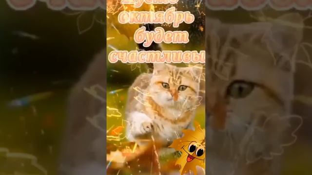 Осеннее туманное утро. смотреть онлайн