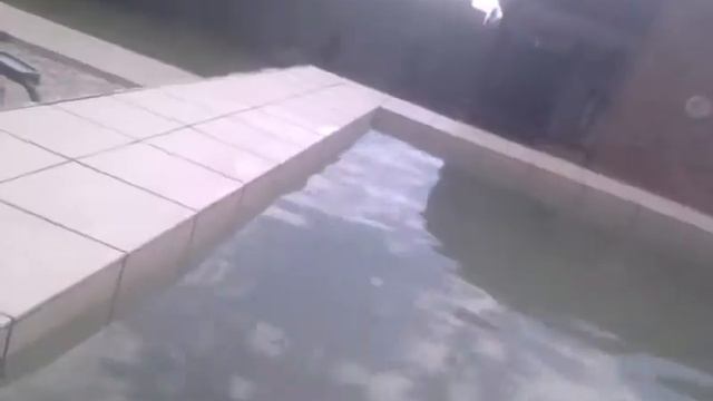 Отдых на даче часть 2 смотреть онлайн