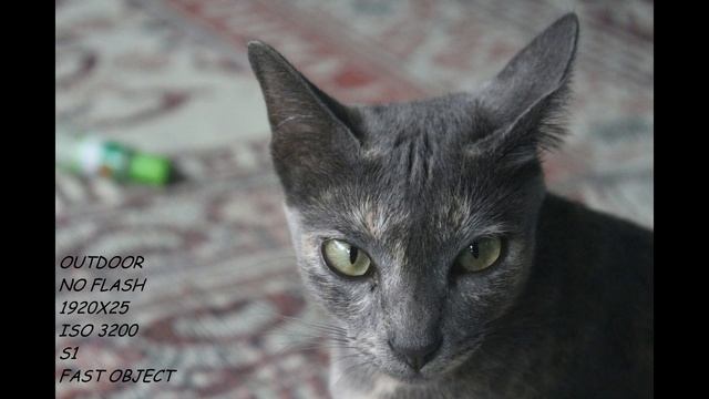 REVIEW HASIL FOTO & VIDEO CANON 1200D INTERNASIONAL смотреть онлайн