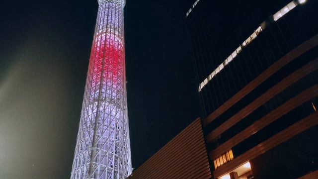 New Year's Eve in Tokyo as an Introvert | Solo Celebration & First Beach Sunrise смотреть онлайн