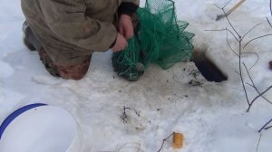 Самая лучшая прикормка для раков. Теория и практика.