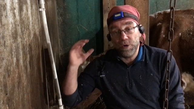 Сколько стоит лучшая дойная КОРОВА из ЛПХ Фроловых? смотреть онлайн