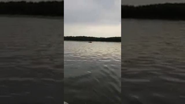 Супер клев в июле на джиг, Ахтуба-Селитренное. baza-Fishka. смотреть онлайн