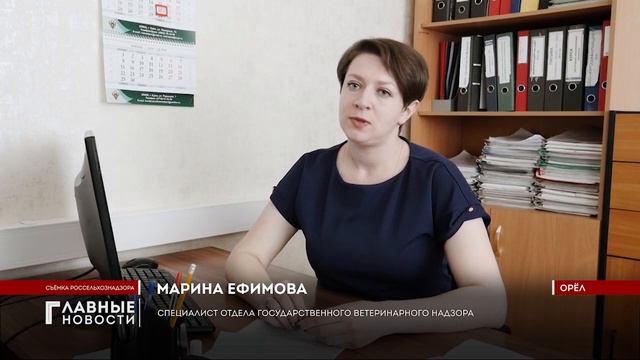 Введён новый порядок лицензирования торговли ветпрепаратами смотреть онлайн