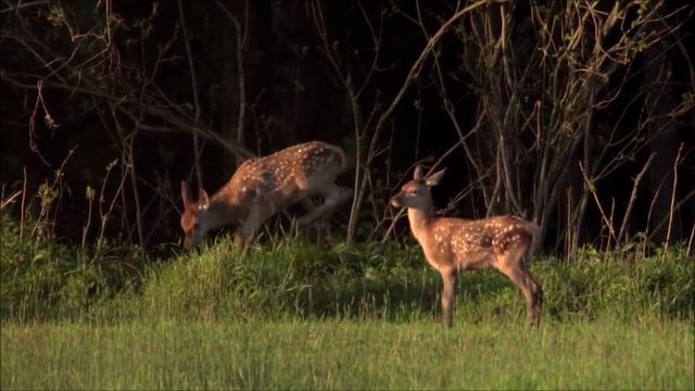 Послушайте эту красивую песню и Вы поймете что Бога нет дороже! Исполнитель-Татьяна Якунова! смотреть онлайн
