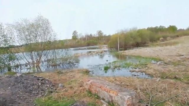 Поймали Ротана ? смотреть онлайн