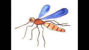 Речевое развитие по теме "Насекомые" (средняя группа). Воспитатель Суздалкина М.С.