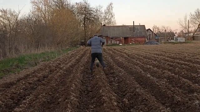 ВЛОГ: САЖАЕМ КОРМОВЫЕ БУРАКИ / ЧУДО- ТЕХНИКА/ ЖИЗНЬ В ДЕРЕВНЕ смотреть онлайн