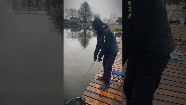 Ещё осенняя форель на блесну ? смотреть онлайн