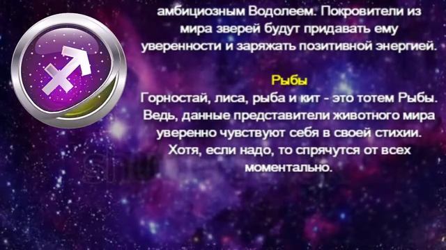 Ваше Животное-покровитель, талисман, тотем для каждого Знаку Зодиака смотреть онлайн