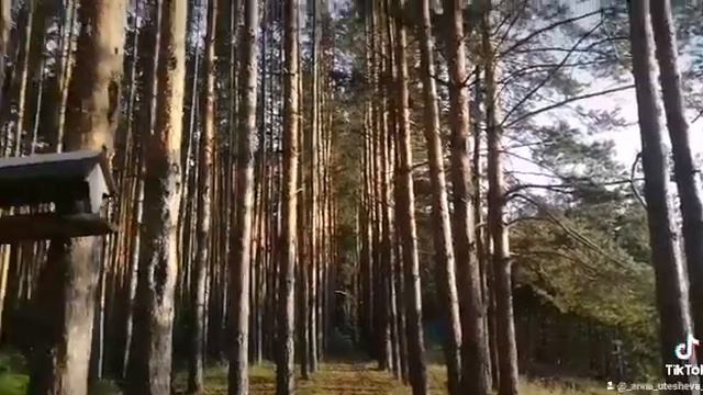 Кандрыкуль смотреть онлайн