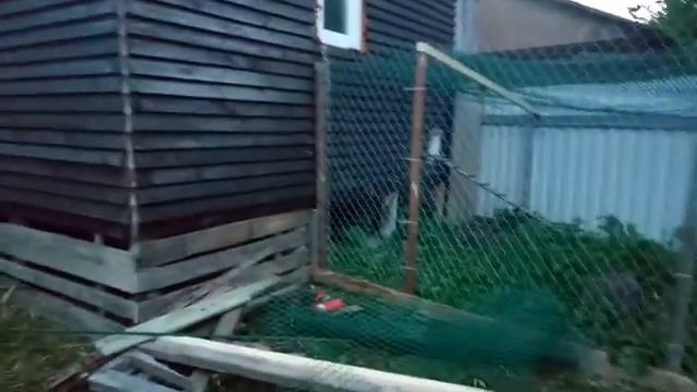 Выгул для птицы под курятником смотреть онлайн