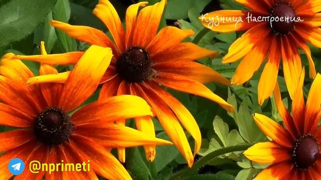 7 ноября народный праздник Дедовские Плачи. Что нельзя делать. Народные традиции и приметы. смотреть онлайн