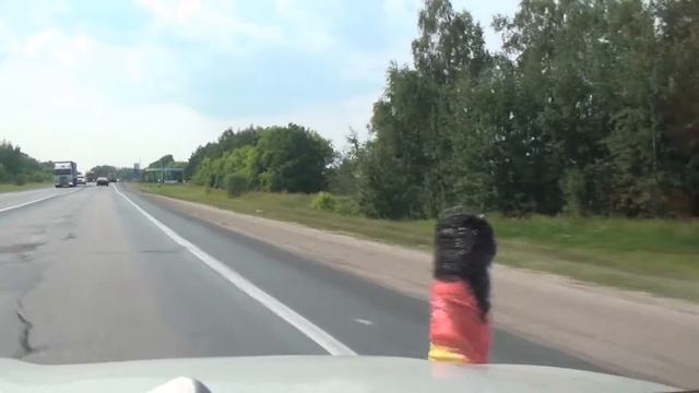 Niva Нива Abaturovo Абатурово Rabotki Работки Lavrovka Лавровка E22 M7 Russia Россия 27.7.2016 #116 смотреть онлайн