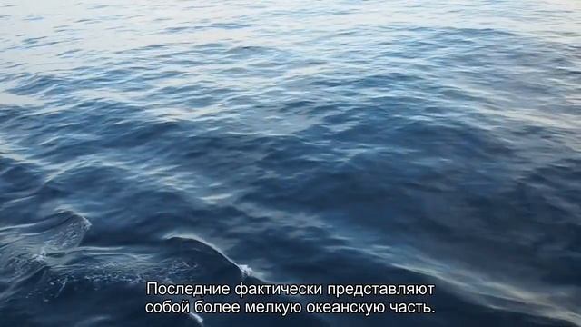 Океан - это вам не море! Главные отличия смотреть онлайн