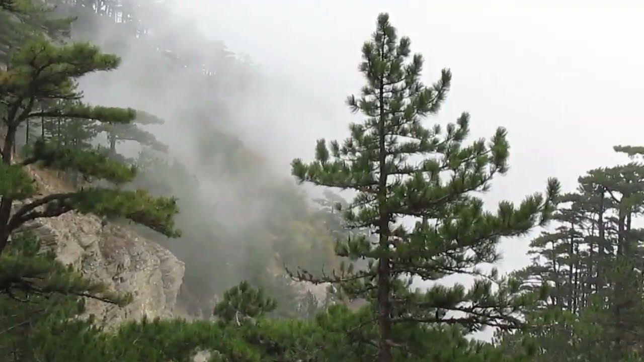 2014 Таракташ и - Домой!