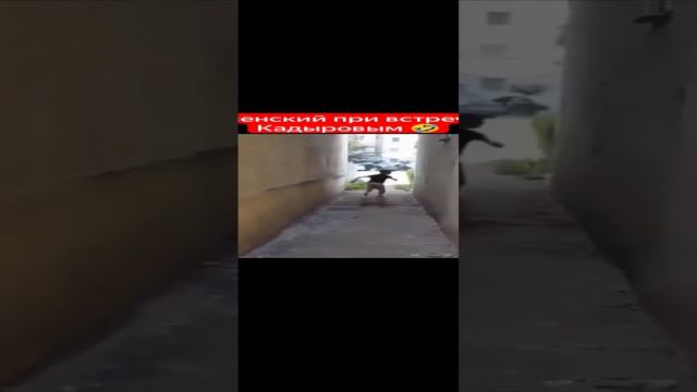 беги беги беги!!!