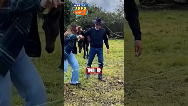 МУЖСКАЯ vs ЖЕНСКАЯ ЛОГИКА! смотреть онлайн