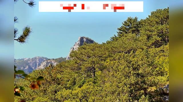 Тропа Боткина. Ялта. Насекомые смотреть онлайн