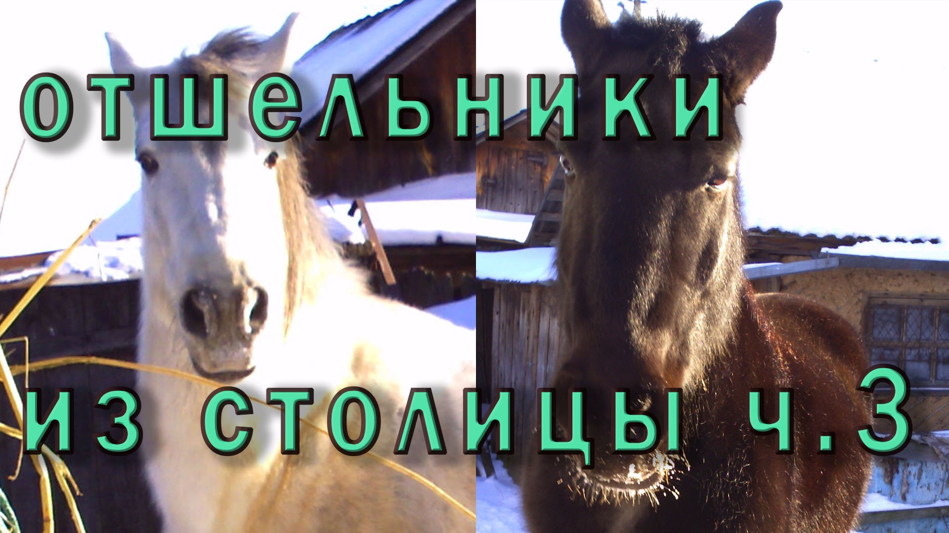 Отшельники - переселенцы из столицы. 3 часть