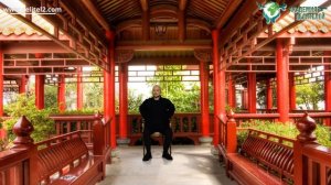 Почки отвечают за разумность в человеке. Как продышать почки. К.Перо  Академия Целителей..mp4