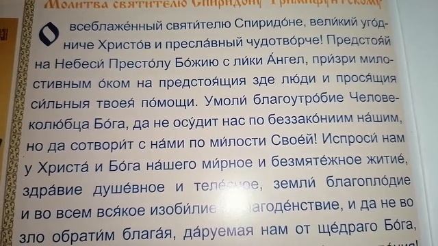 Сильная молитва Святому Спиридону Тримифунтскому. Молимся вместе. смотреть онлайн