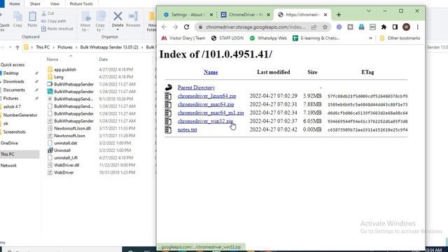 ChromeDriver WebDriver for Chrome смотреть онлайн