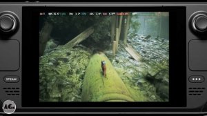 Устанавливаем пиратские игры на Steam deck. Stray - как установить?