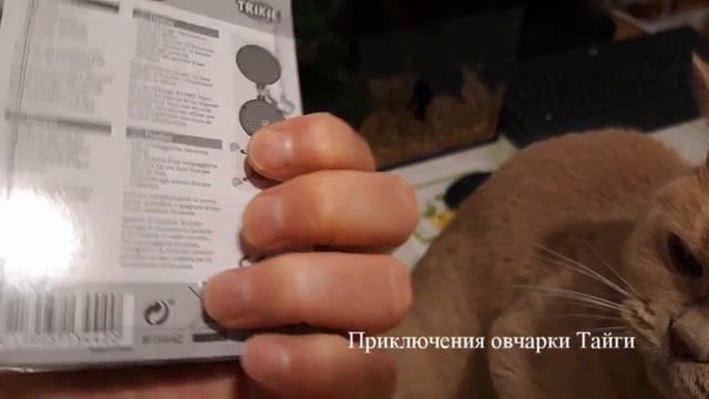 Покупки из зоомагазина для собак и кошки смотреть онлайн