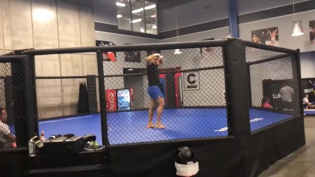 Champions training/тренировки чемпионов смотреть онлайн