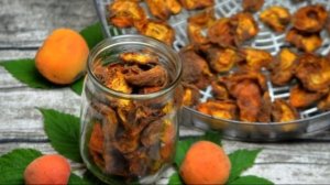 Как хранить курагу