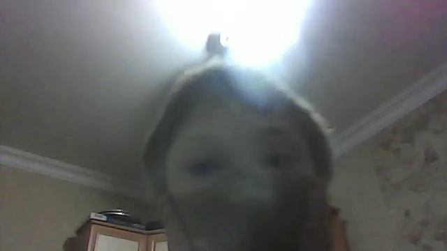 КАК СДЕЛАТЬ МАСКУ ИЗ ПАПЬЕ МАШЕ . ЧАСТЬ | смотреть онлайн