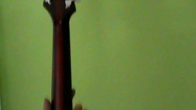 New Guitar Day! Ibanez FRM100 Unboxing by TmtmS смотреть онлайн