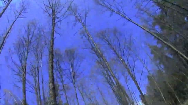 Мини поход на р. Ока смотреть онлайн