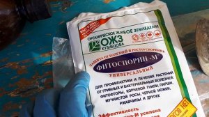 Как приготовить  маточный раствор Фитоспорина?