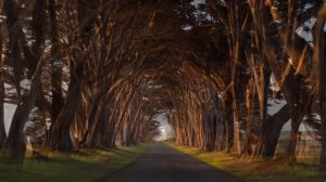 Уверенность в себе. Гипноз.