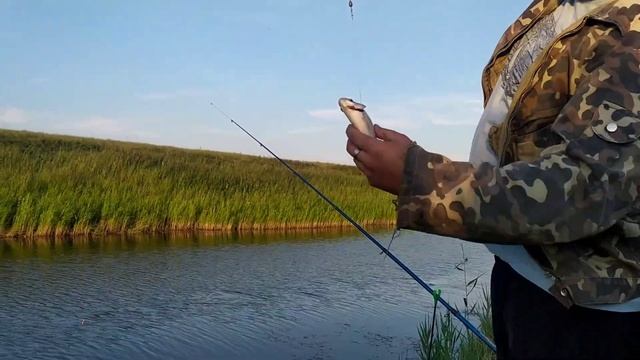 Самая быстрая рыбалка на карася на реке Убаган. смотреть онлайн
