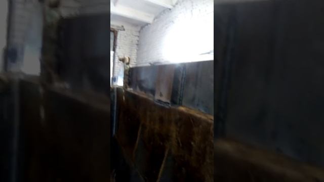 Наращивания бортов на самосвалы смотреть онлайн