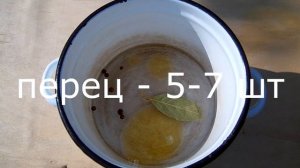 Маринованный лук на зиму. Самый вкусный рецепт маринованного лука