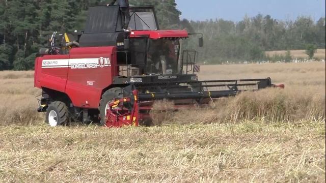 PALESSE GS 12 A1. GS 12. и GOMSELMASH GS12A1 PRO. Убирают Рапс смотреть онлайн