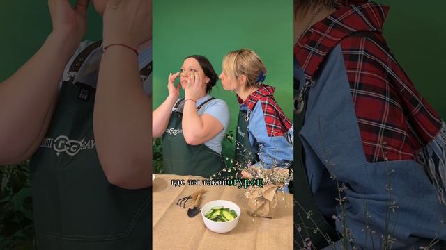 Огурец смарт-типа Зеленые гномики смотреть онлайн