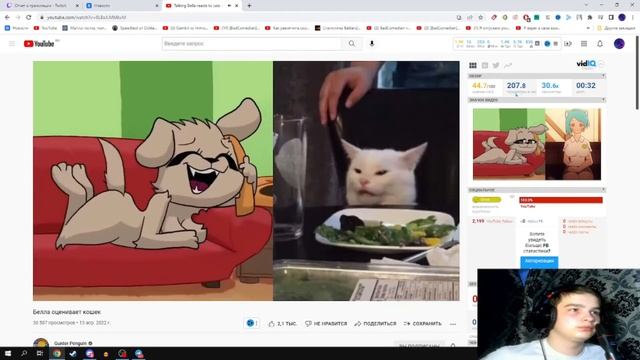 Котыч смотрит Белла оценивает кошек реакция смотреть онлайн
