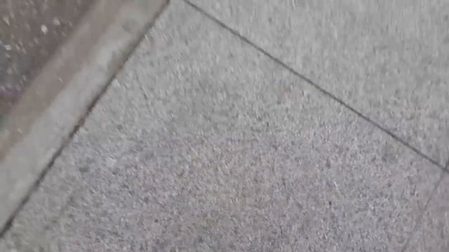 СЪЕЗДИЛИ В ГУДЕРМЕС🌺ПОДАРОК ОТ ЖИ ЗЫ♥️У НАС ПОХОЛОДАЛО смотреть онлайн