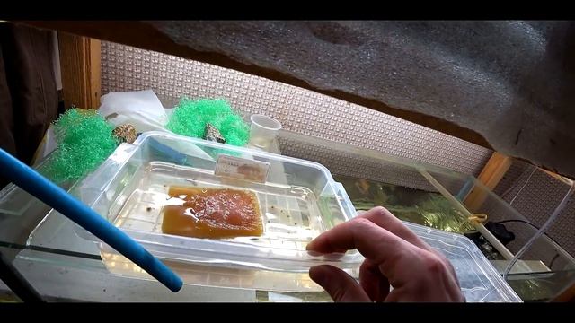 ЧТО ТО НЕЛАДНОЕ С ДРОПЧЕКЕРОМ!!! ЦИКЛОП!!! смотреть онлайн
