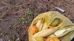 Ручной грядообразователь для клубники своими руками.