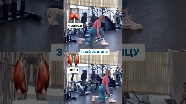 знай разницу выпадам к выпадом можно относится по разному: любить и/ или ненавидеть смотреть онлайн