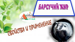 Барсучий жир, свойства и применение