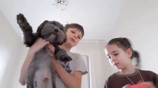 общение с подписчиками и прыгать на матрасе смотреть онлайн