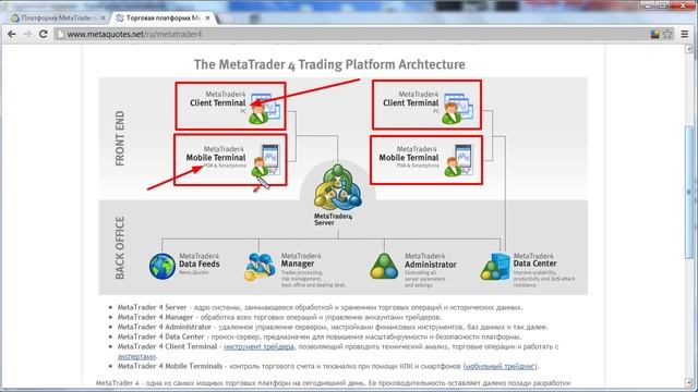 Обучение MetaTrader 4: Введение смотреть онлайн